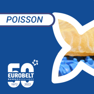 Visitez Seafood Expo Global et découvrez les dernières nouveautés de l’Eurobelt de l’industrie du poisson!