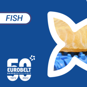 Visit us at Seafood Expo Global and get to know the latest news from Eurobelt of the fish industry!