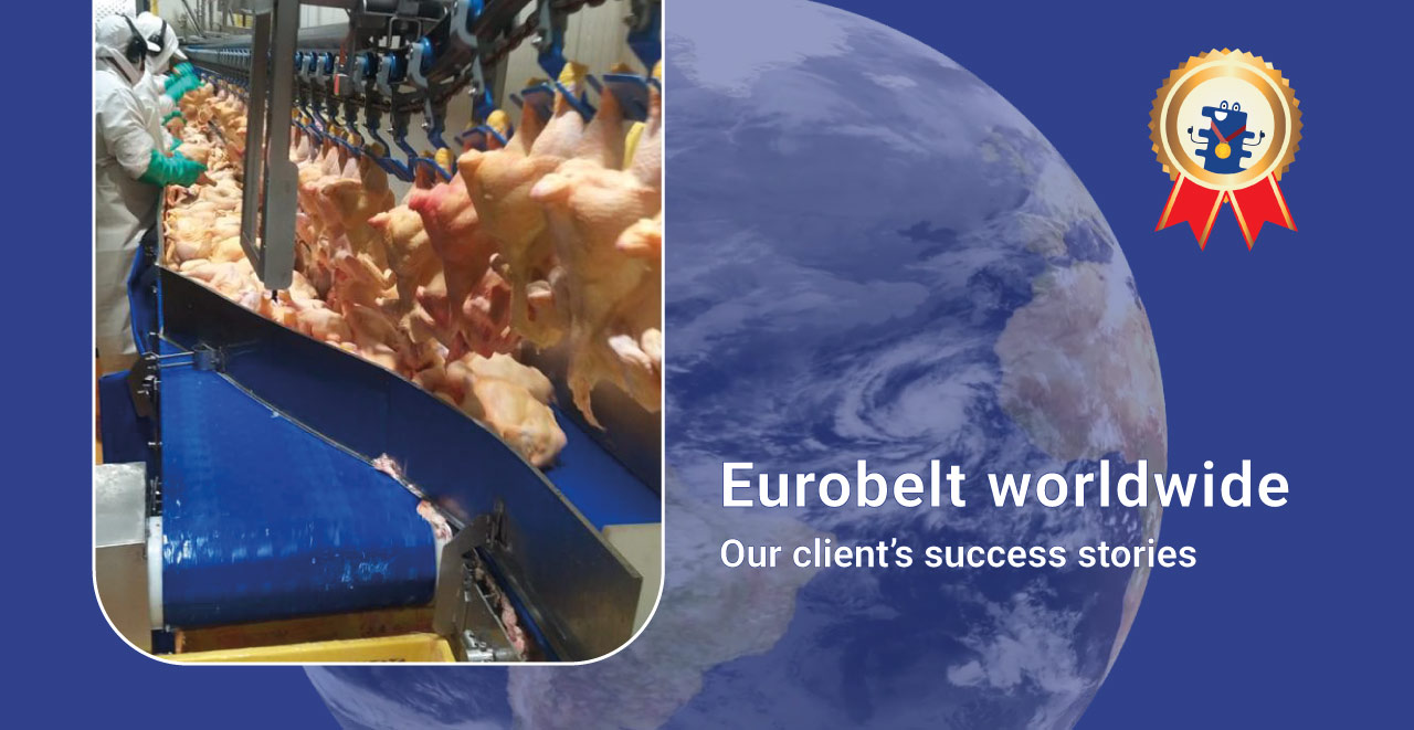 Producción Avícola Sin Paradas: Ahorro y Eficiencia con la Banda Quickbelt