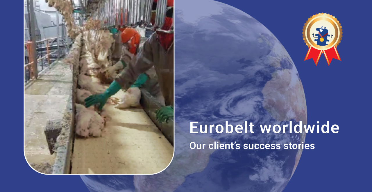 Bandas Transportadoras Quickbelts: Solución Eficiente en la Producción de 300,000 Pollos Diarios