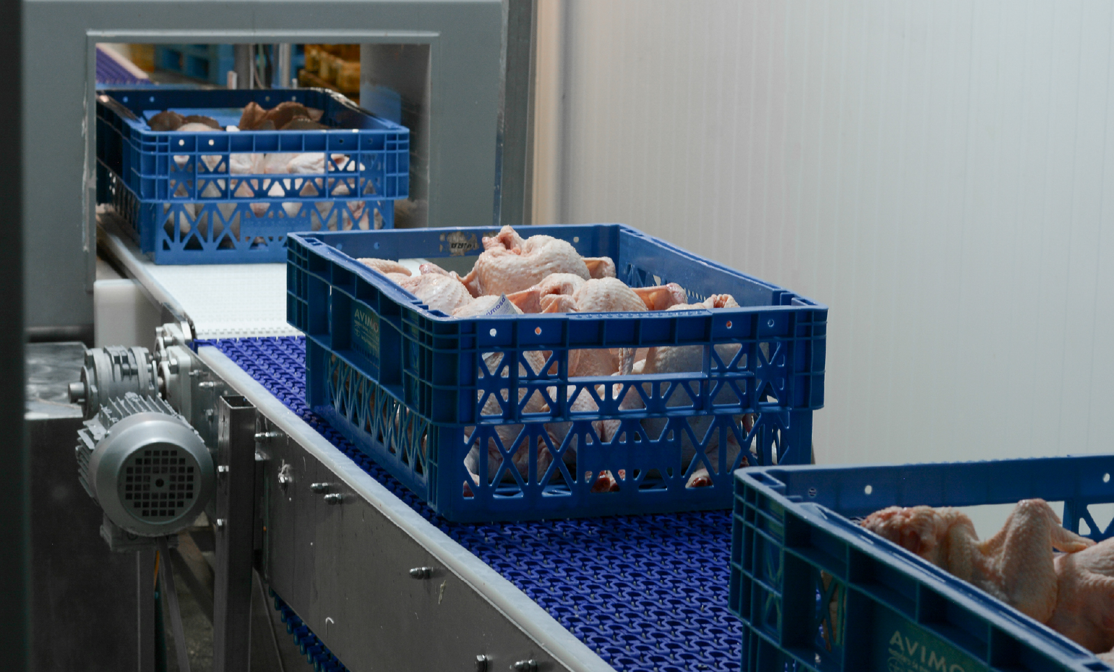 Full detectability: the new generation of materials for food safety